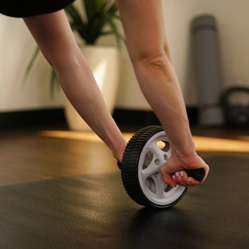 sunny health fitness accessories ab roller exercise wheel No 003 09