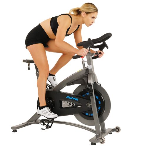 sunny health fitness bikes magnetic belt drive commercial indoor cycling trainer 5100 06