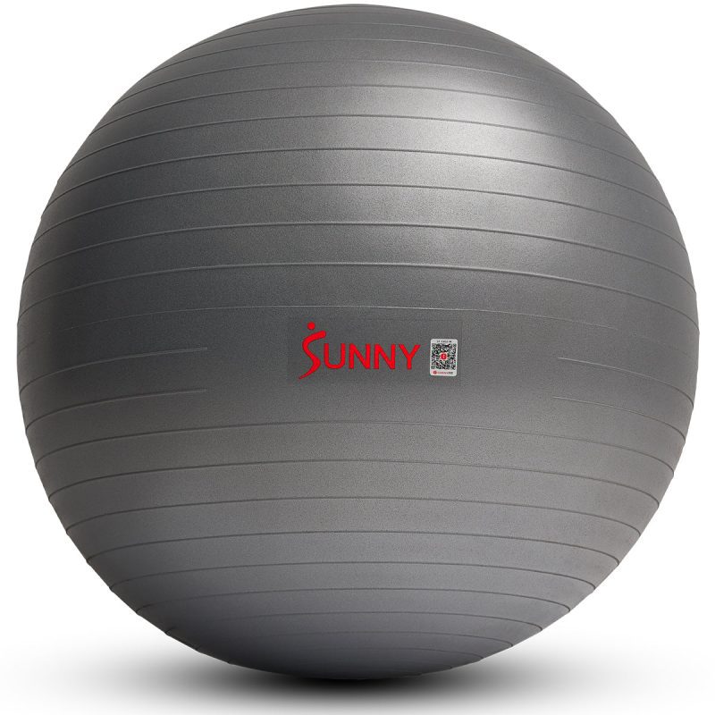 sunny health fitness sf eb02 M 1