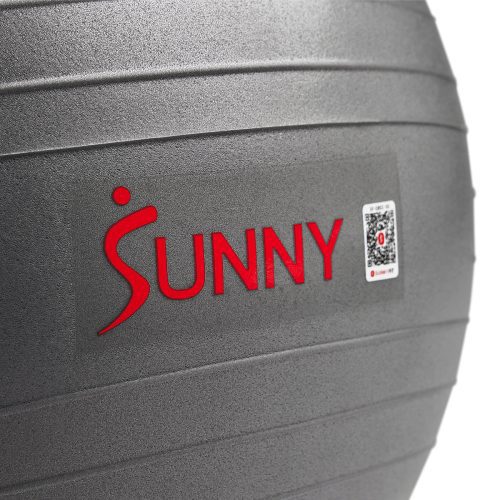 sunny health fitness sf eb02 M 2